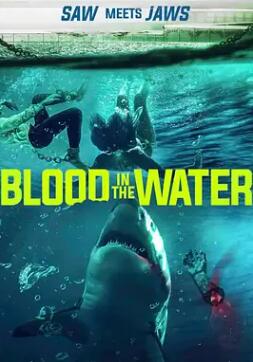 《水中血：牛鲨》电影BT磁力下载_迅雷下载_百度云网盘下载