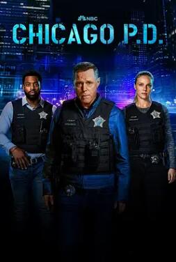 《芝加哥警署第十一季：芝加哥警局》电视剧迅雷BT磁力下载_百度云网盘全集下载
